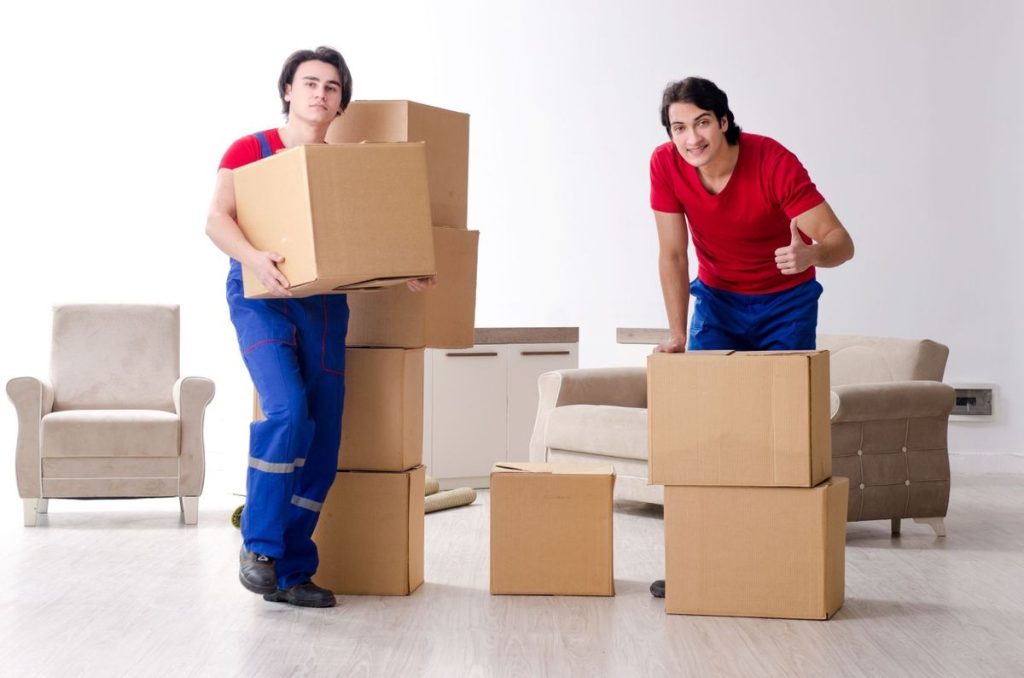 Discover Your Perfect Parcel Moving Partner for Ottawa Business Needs