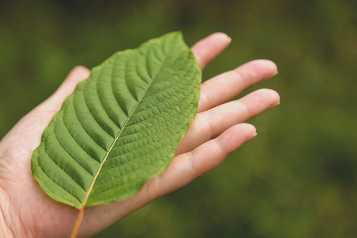 Finding Long-Lasting Kratom Energy Without Unwanted Afternoon Performance Drops